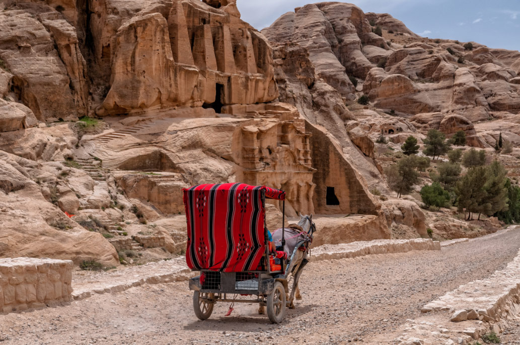 Traditional carriage transport, carrying travellers to Petra, Jordan.