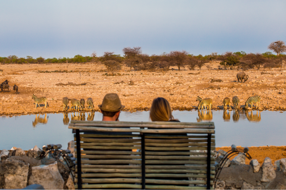Couple wildlife watching at watering hole in Africa Valentine's Day