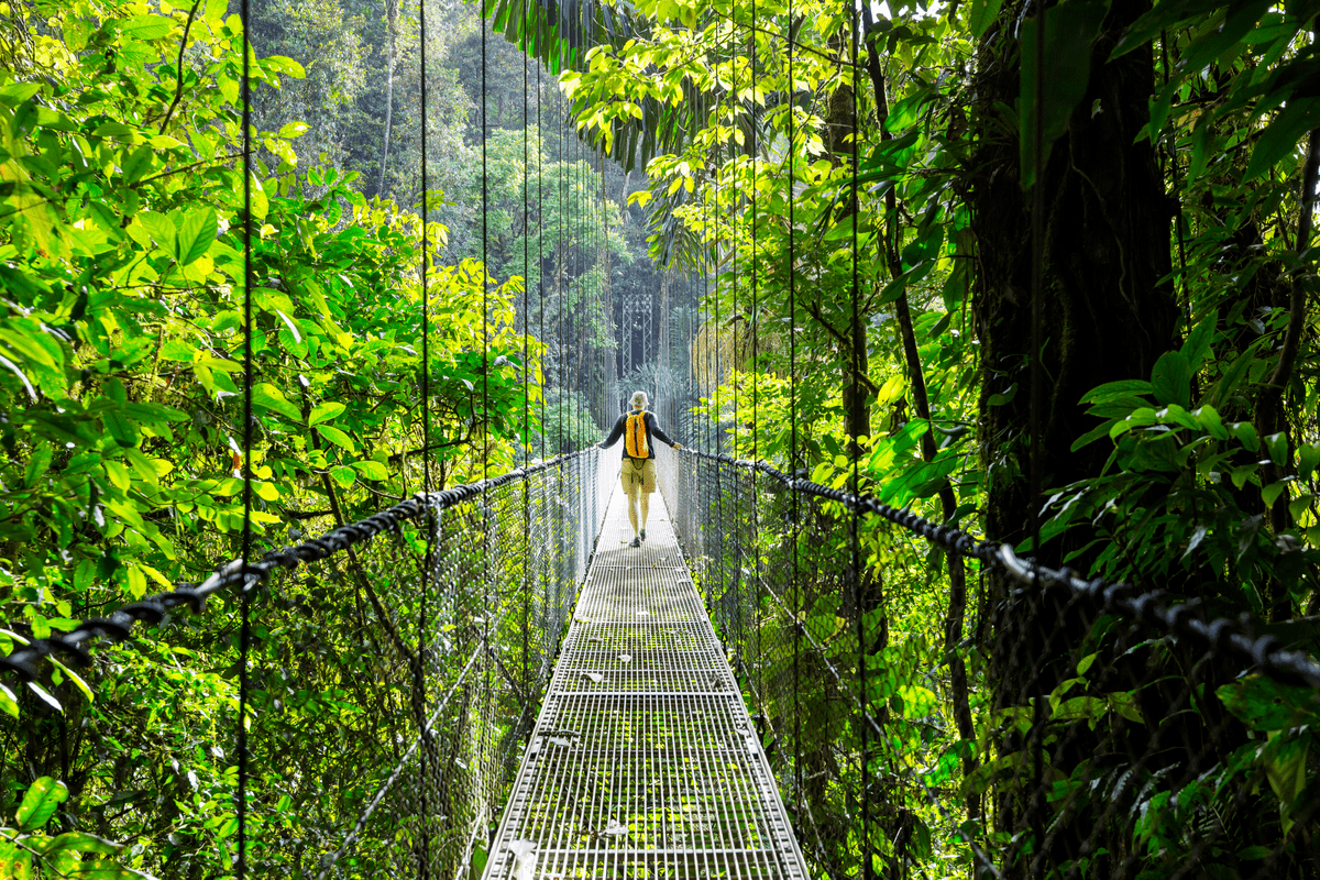 Man walking in tropical jungle in Costa Rica