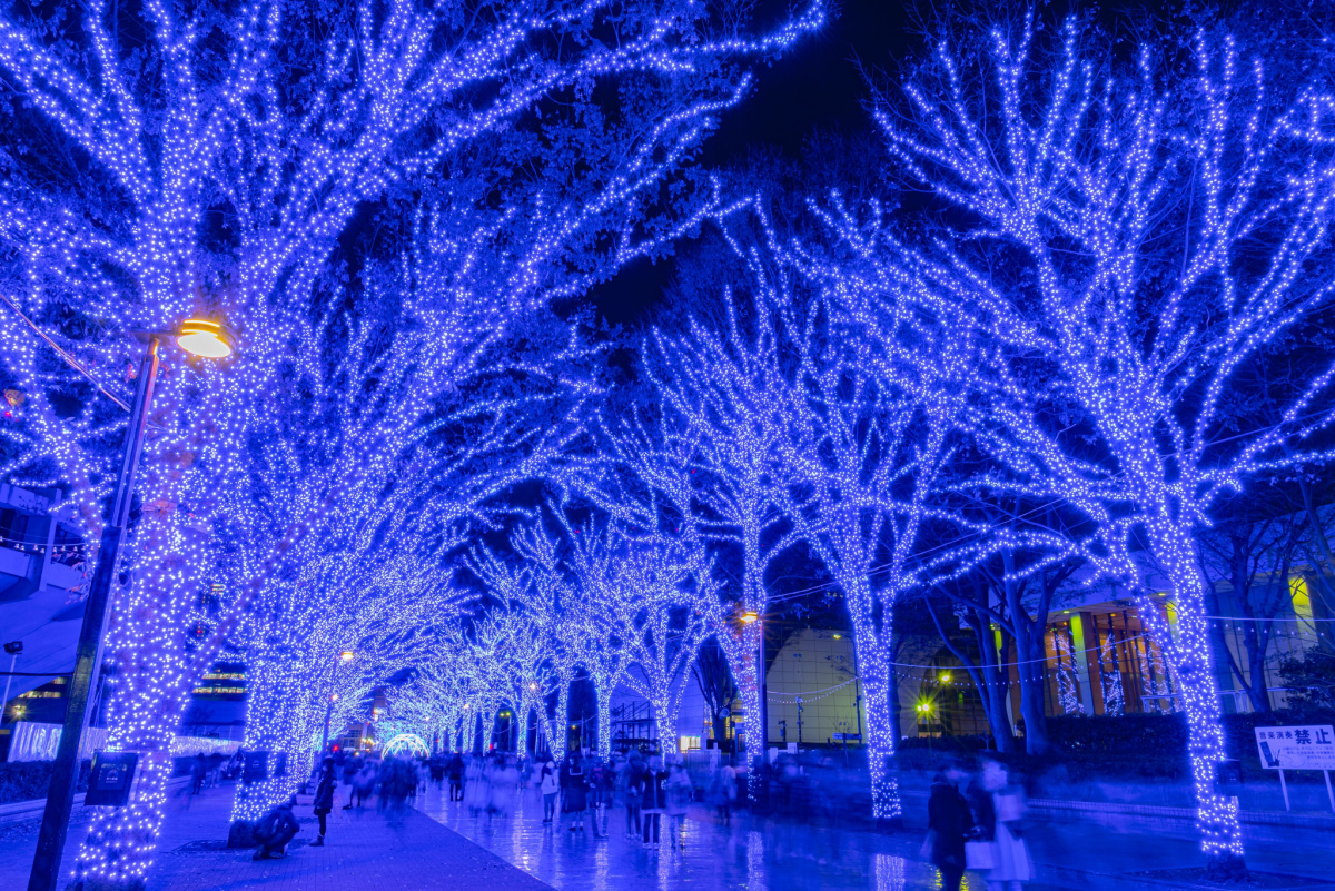 Christmas Lights, Winter Illuminations in Tokyo, Japan