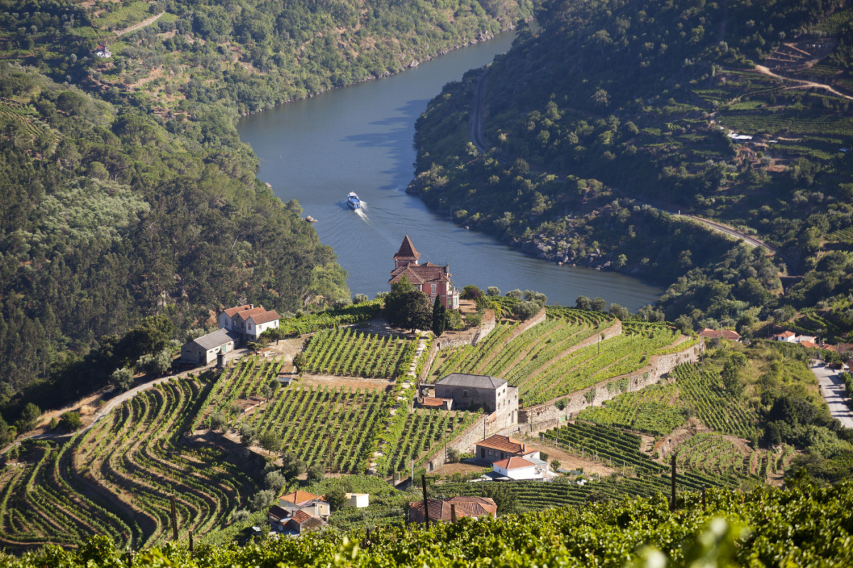 Douro Valley, winemaking region in Portugal