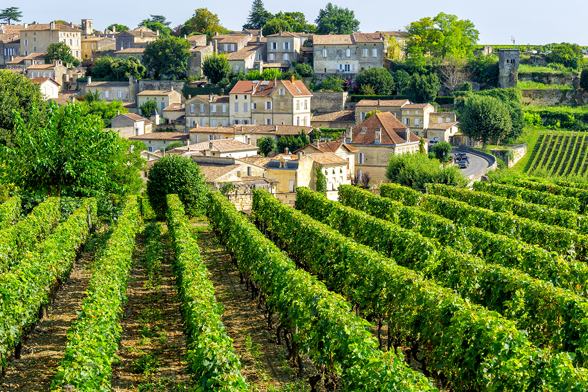 Bordeaux, France Wine Day