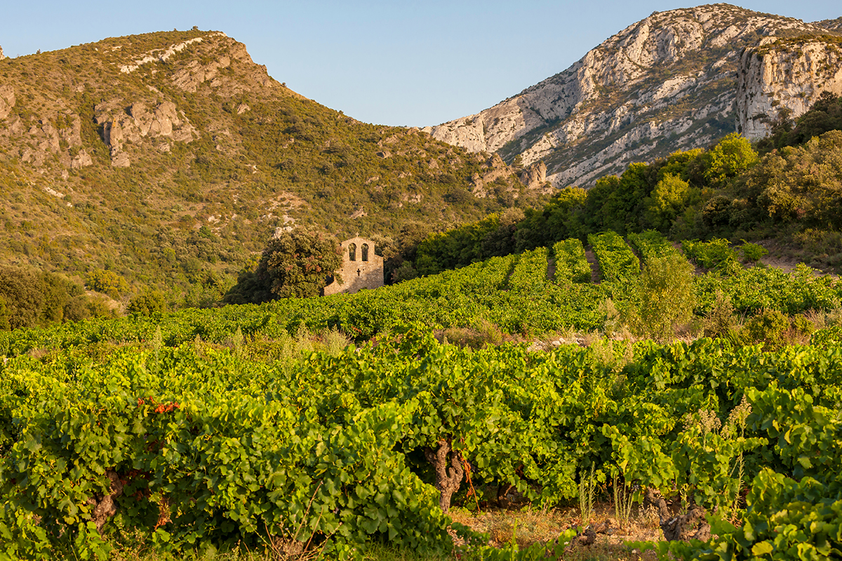 Languedoc-Roussillon Wine Day