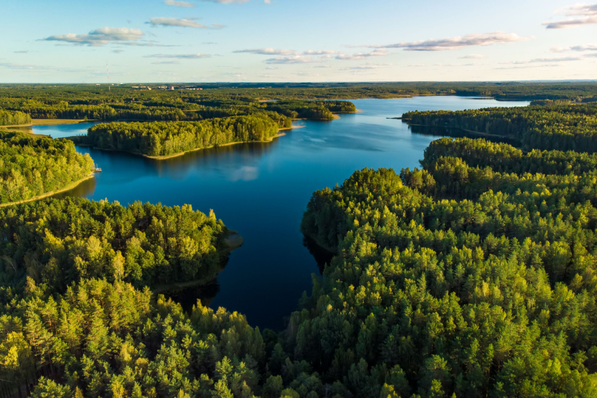 Lithuania forests