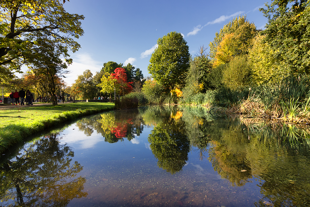 Things to do in the Netherlands in nature