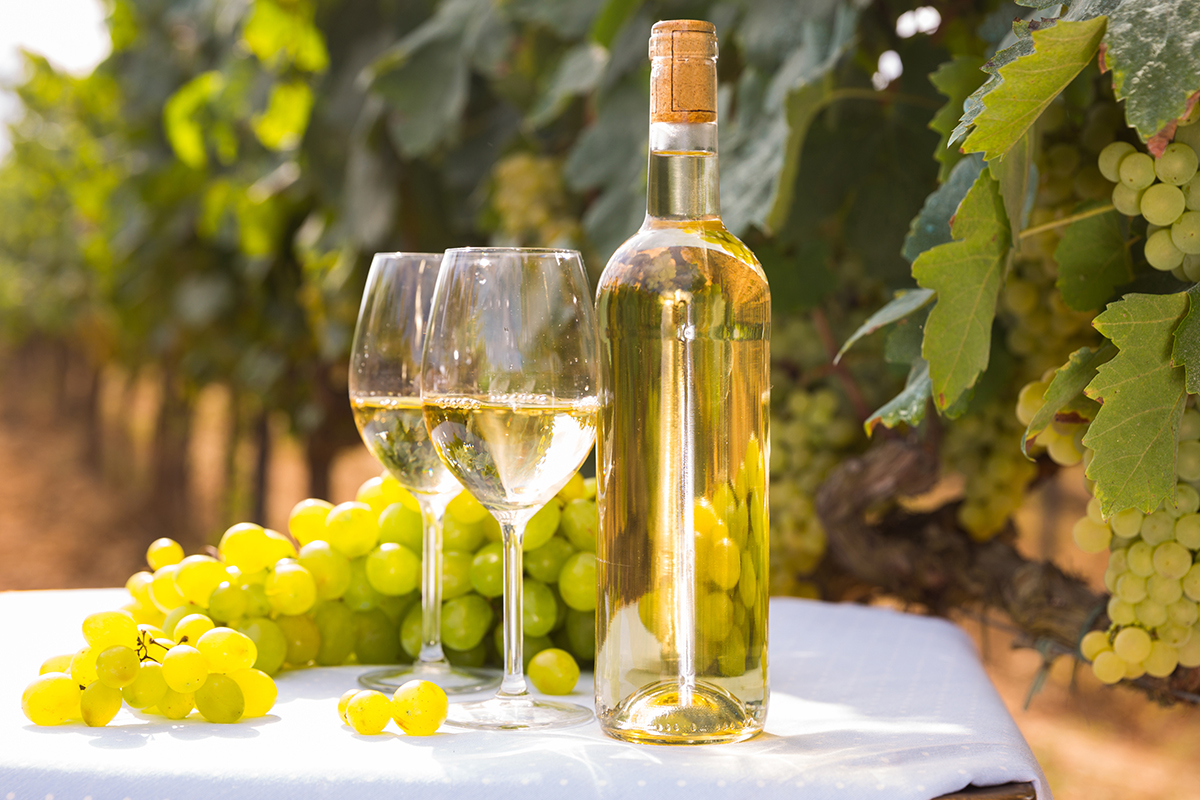 From grapes to wine, the history of Chenin Blanc