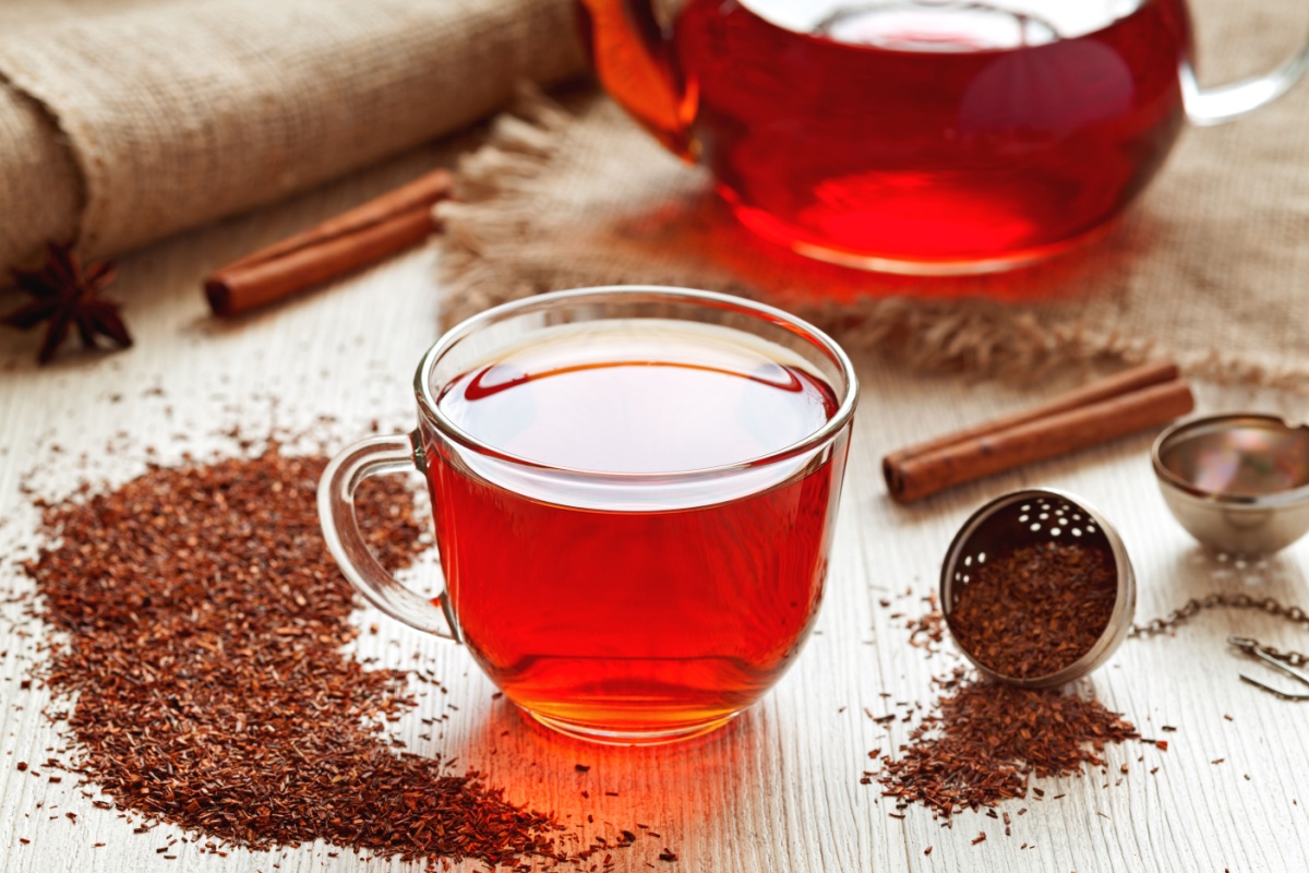 Rooibos tea, Clanwilliam, South Africa