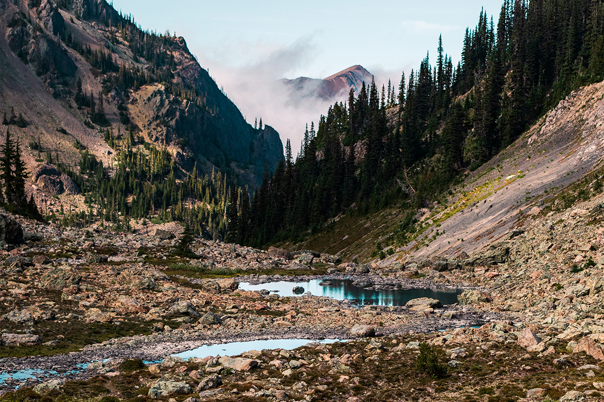 Olympic National Park, USA