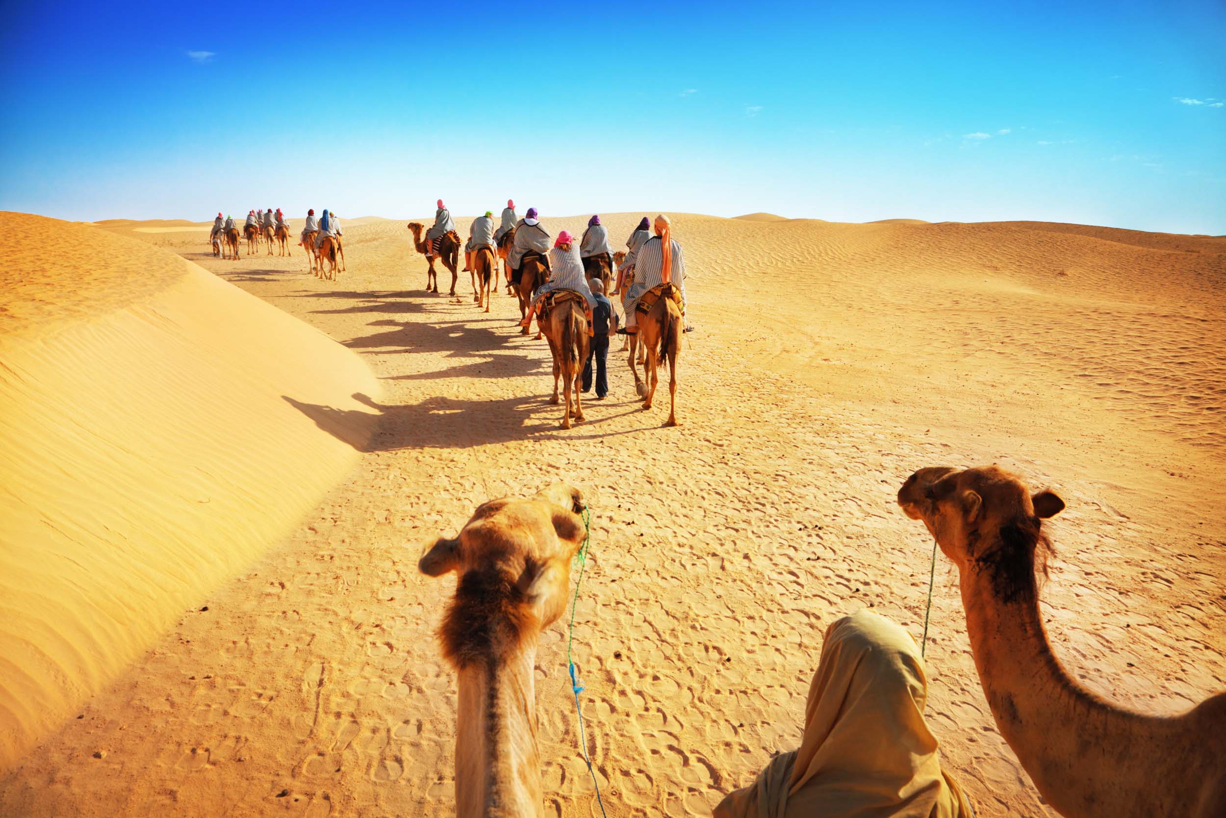 A Group Tour to Egypt with Expat Explore
