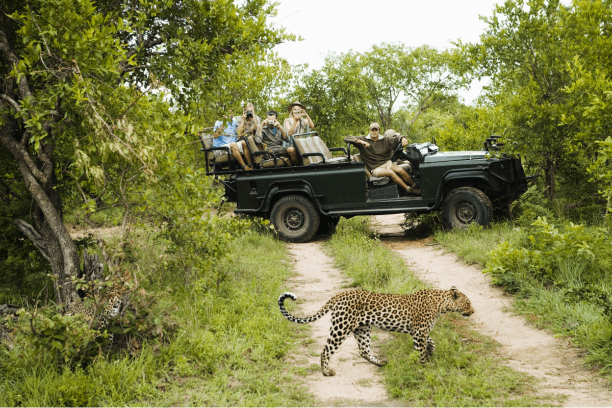  Safari Travel Essentials