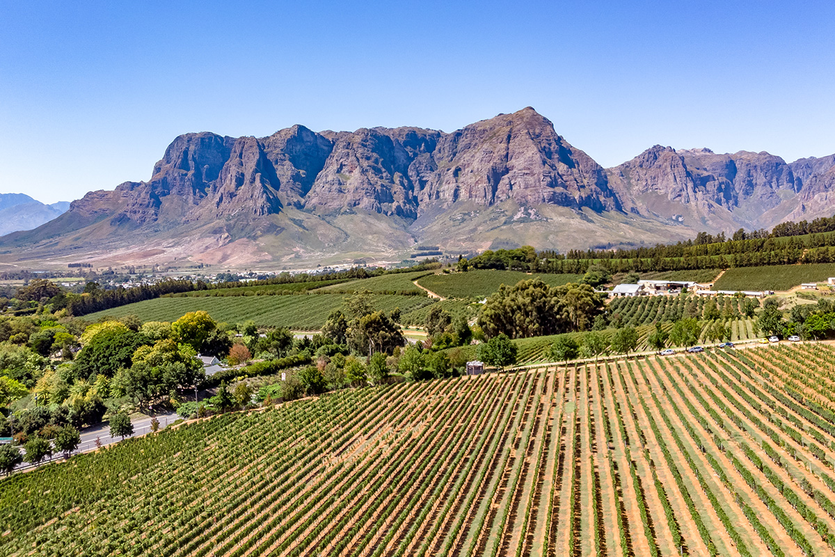 Wine route, South Africa